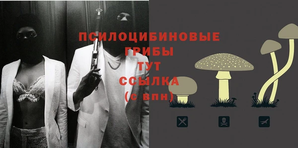 спиды Кодинск