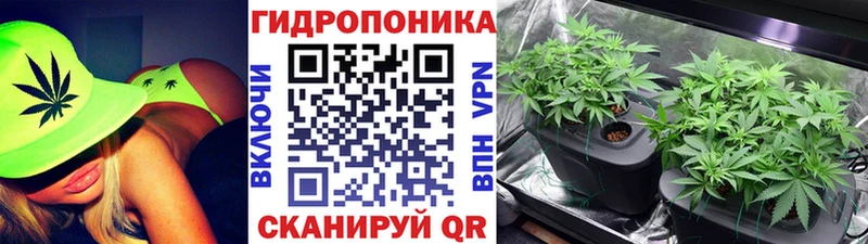 купить наркотики цена  Медвежьегорск  Шишки марихуана AK-47 